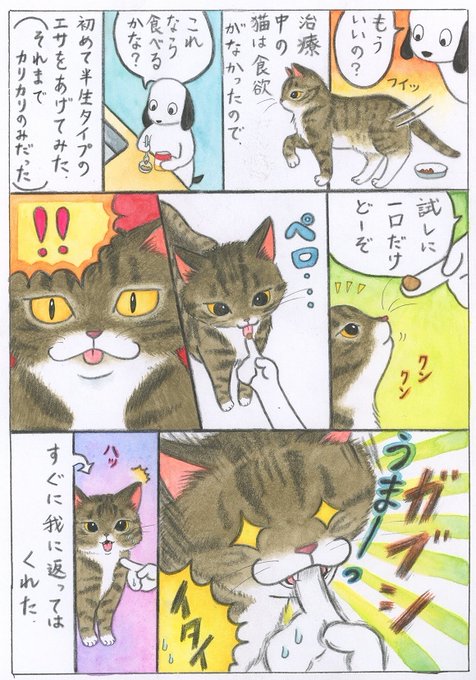 我を忘れるうまさだったらしい #猫 #コミックエッセイ https://t.co/tqCRSsjiuU 