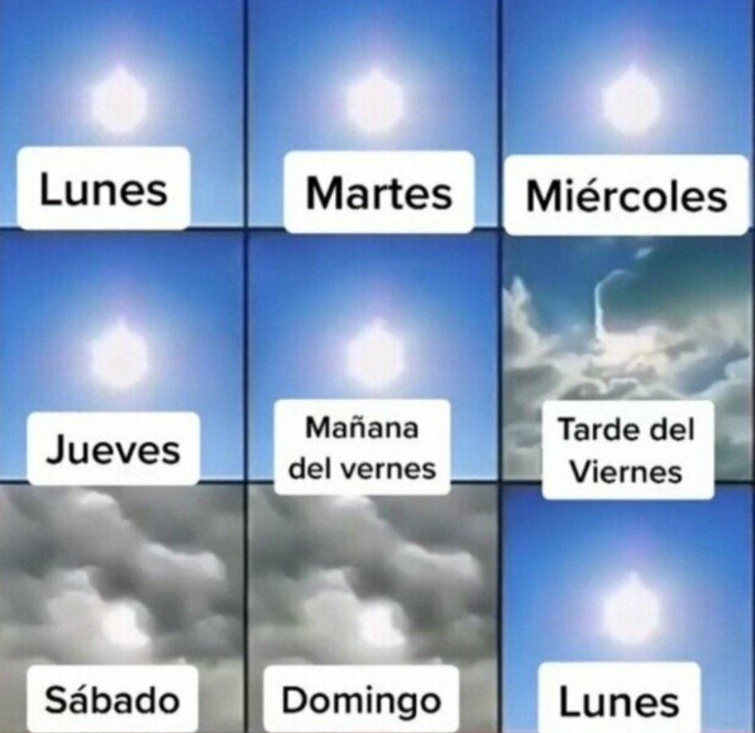 Best cut videos tweet media