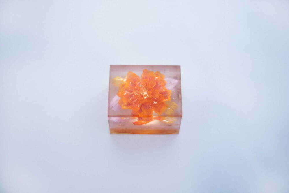 花を閉じ込めた羊羹「ブーケかん」京菓匠の七條甘春堂から、白餡・いちじく・紅茶フレーバー - fashion-press.net/news/80854