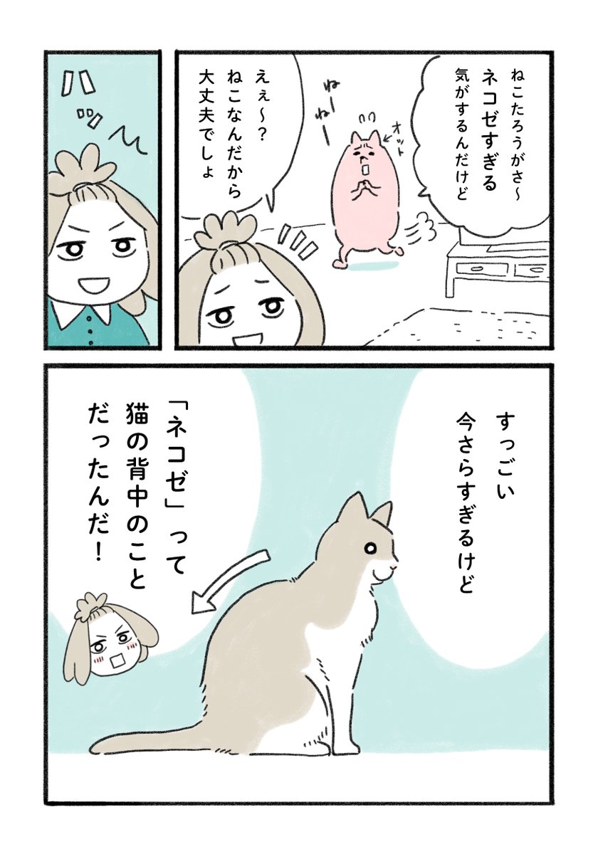 今さらながらの気づき🐱

#みちこの日記   #コルクラボマンガ専科 #猫がいる暮らし 