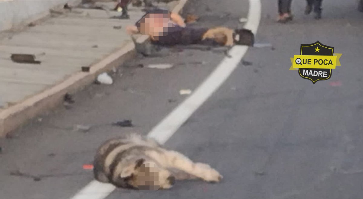 QuePocaMadre_Mx's tweet photo. #Accidente
Se registró un accidente sobre la carretera México-Toluca a la altura de la Pila alrededor de las 3:00 am lamentablemente fallecieron conductor y un perrito que lo acompañaba. Atienda las indicaciones viales y #ManejeConPrecaución https://t.co/y43UTjD2cw