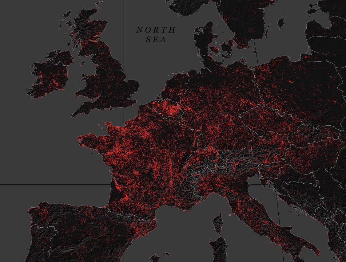 Ben Judah tweet media