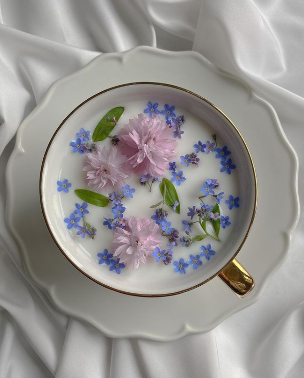lavieestbelIe's tweet photo. Flower tea by domsli22 https://t.co/9zdbKUgOPC