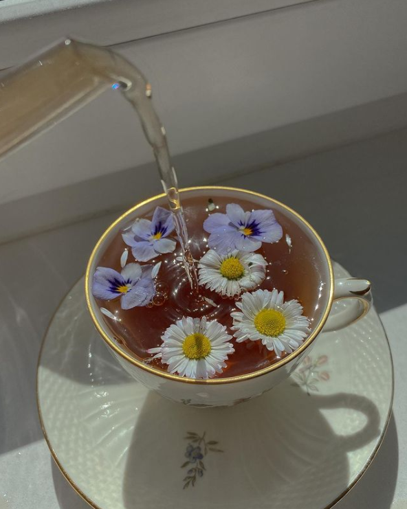 Flower tea by domsli22