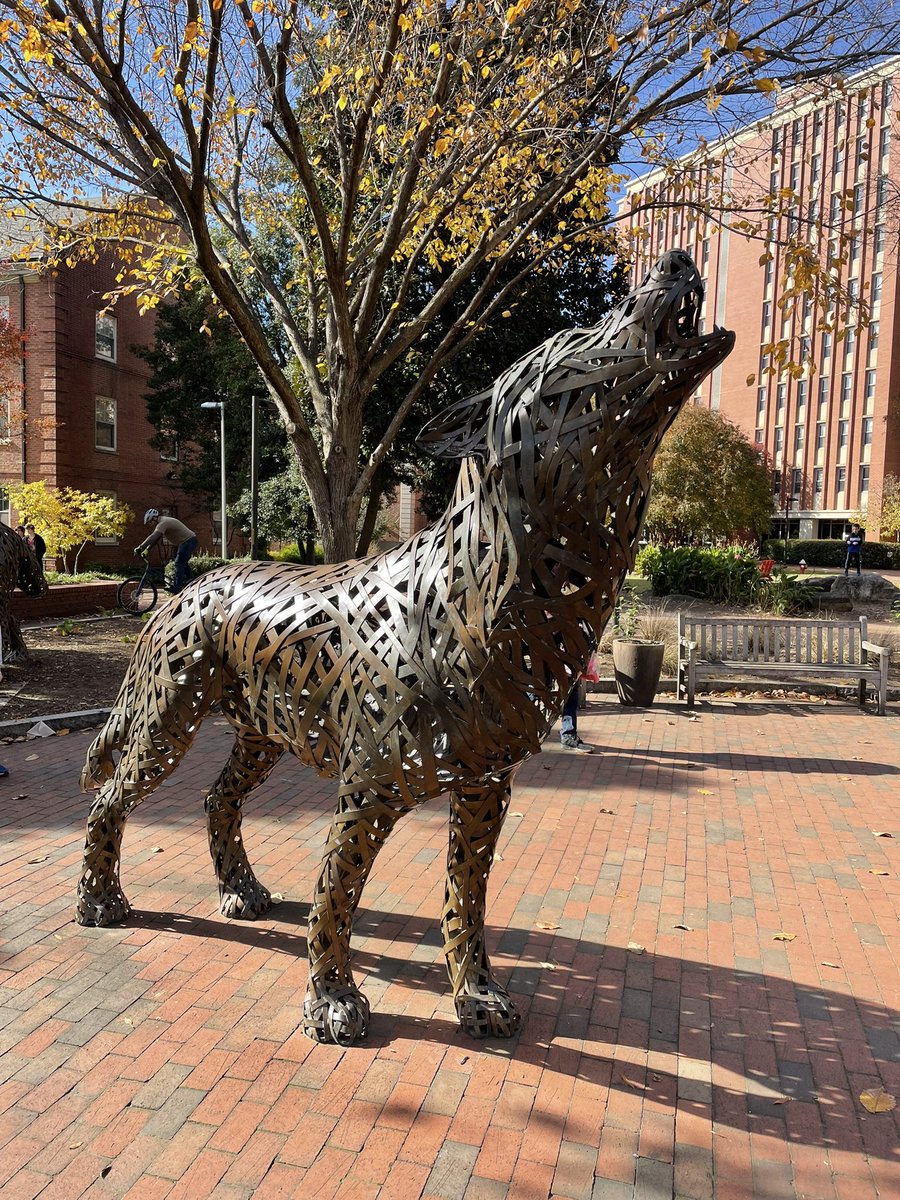 gregmelrath's tweet photo. Made it back to Raleigh after too many years! 🐺 #GoPack https://t.co/r2LKg66thf