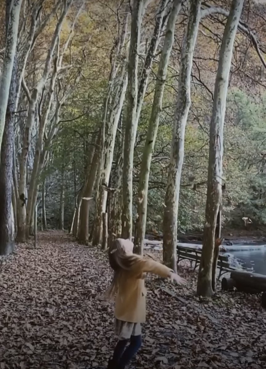 #Videodelgiorno 📷 #VideoOfTheDay
#passione_fotografica #reelsoftheday
instagram.com/passione_fotog…
#RT #reeloftheday