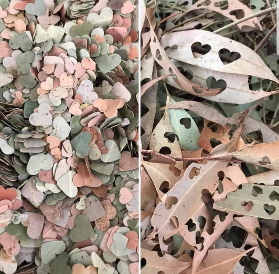 thefourmonkeys's tweet photo. This is such a brillaint idea. I absolutely love this!! ❤
Instead of polluting the planet with confetti, hole punch leaves instead. Fully biodegradable. 🌎
#HelpSaveThePlanet https://t.co/uGAUIYzVOP