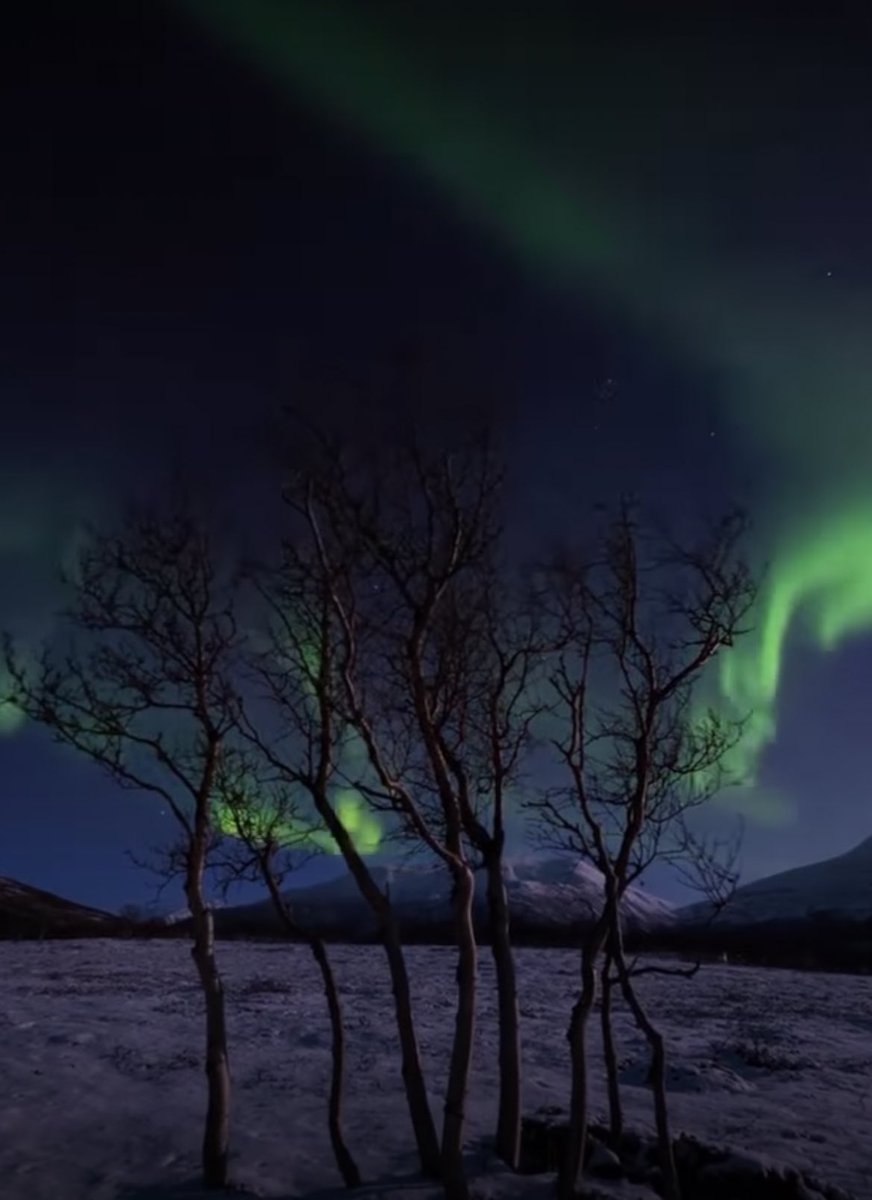 #Videodelgiorno 📷 #VideoOfTheDay
#passione_fotografica #reelsoftheday
instagram.com/passione_fotog…
#RT #reeloftheday