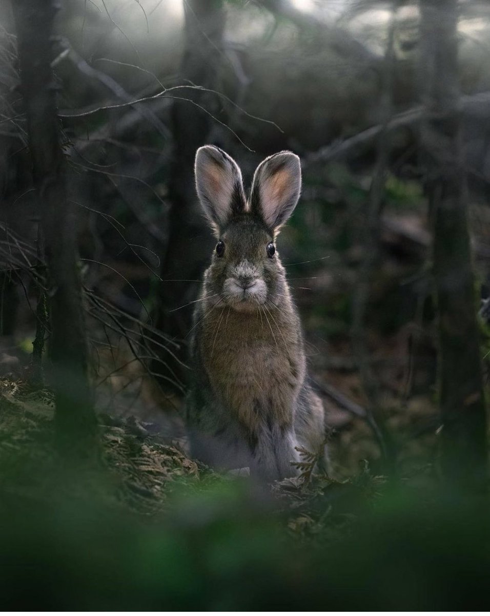 #FotoDelGiorno 📷 #PhotoOfTheDay
#passione_fotografica
instagram.com/passione_fotog…
#RT #photography