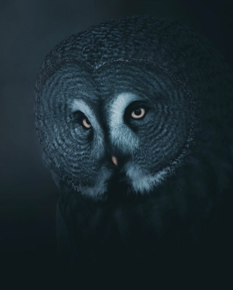 #FotoDelGiorno 📷 #PhotoOfTheDay
#passione_fotografica
instagram.com/passione_fotog…
#RT #photography