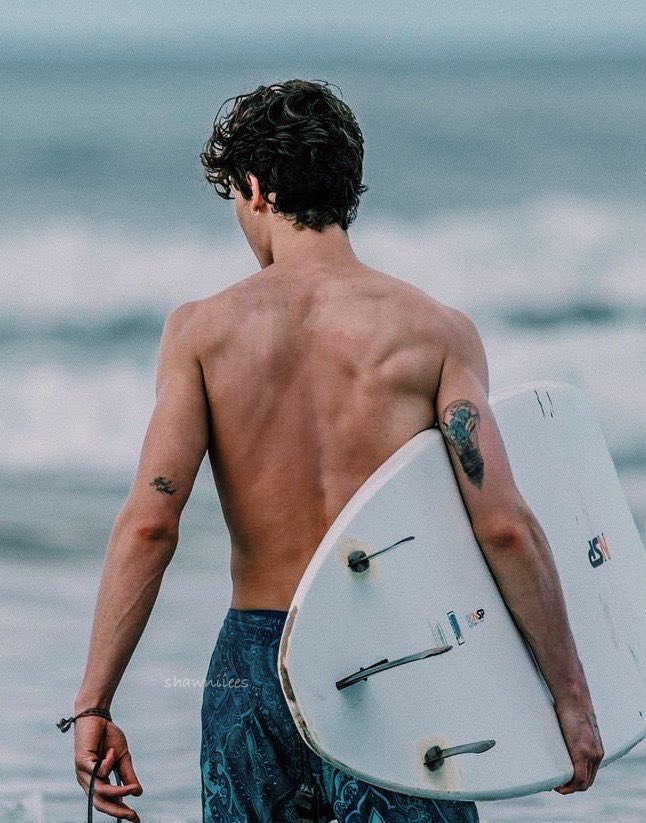 shawn mendes surfer era 🏄🏻‍♂️🌊