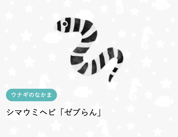 さとかよ おさかなの海 こんばんは シマウミヘビ ゼブらん のご紹介です どんな生きもの ウミヘビ だけど 毒を持ってない種類だよ 魚類のウミヘビは毒がなく エラがあるから水中でも呼吸ができるのが特徴なんだ 続き T Co