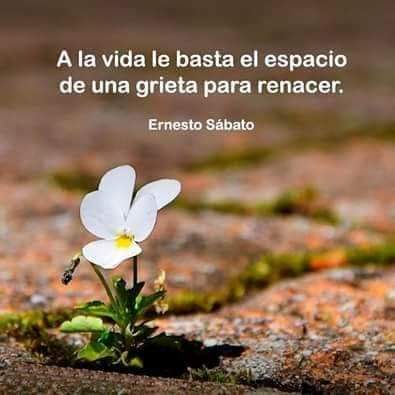 SoyLauraRivas's tweet photo. Bonito día!!! A estar de buenas...  #ModoLau Año Próspero y Feliz 2022 https://t.co/RGCwOJ2psV
