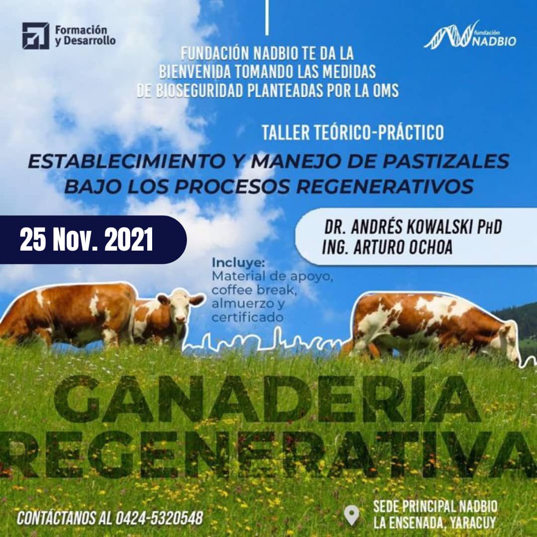 AndresKowalski's tweet photo. La manera de reducir tus costos, mejorar tu producción y maximizar tus ganancias en tu ganaderia es a través de la prácticas de Ganadería Regenerativa. En la Finca la Bendicion lo estamos haciendo desde hace 2 años y ya estamos produciendo mucho más y gastando menos.
Ven y conoce https://t.co/RawzMu8FB4