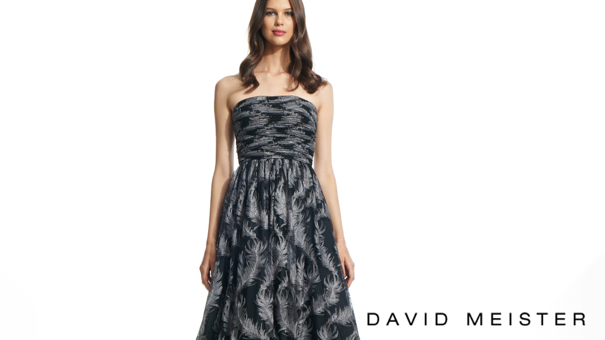 David Meister tweet media