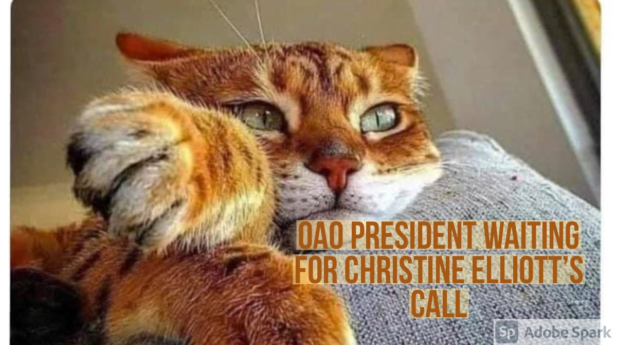 Anju Clement tweet media