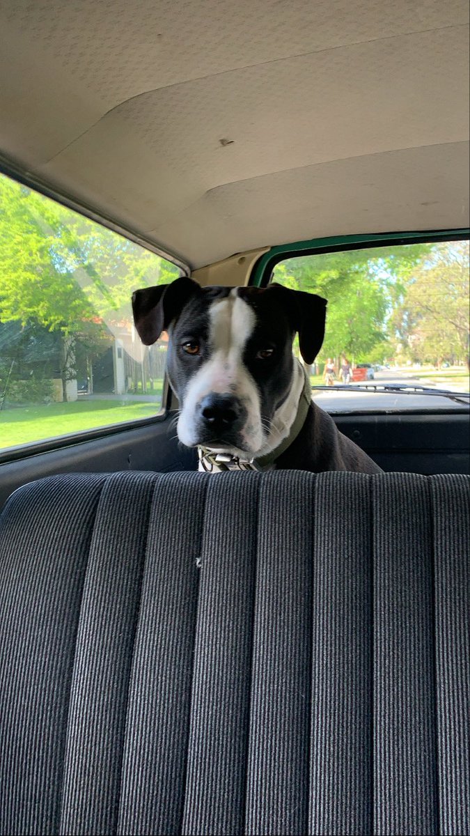 Marcos Pastore tweet media