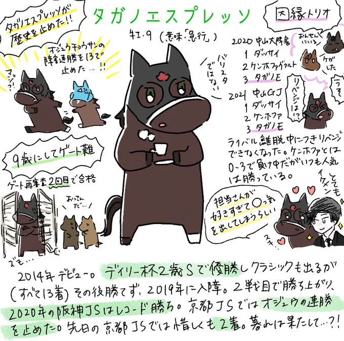 最近の推し障害馬、タガノエスプレッソくん 