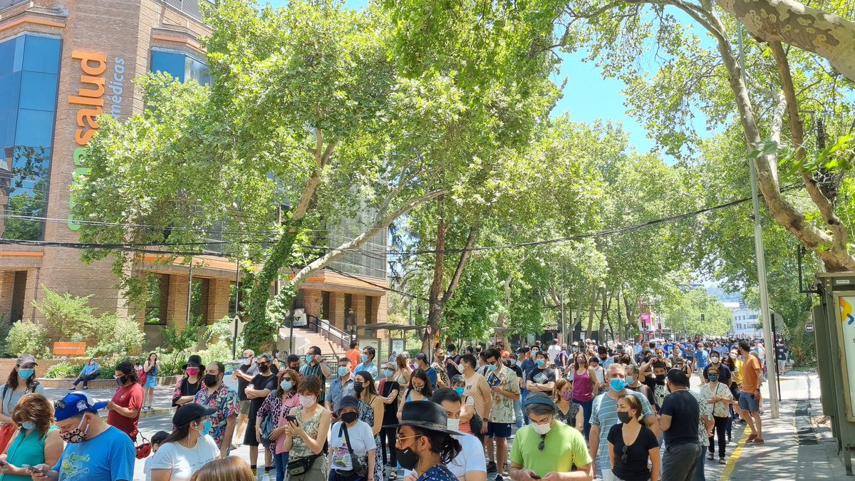 Y algunos obsecados han insistido que los platanos orientales no son buenos árboles urbanos...🤔