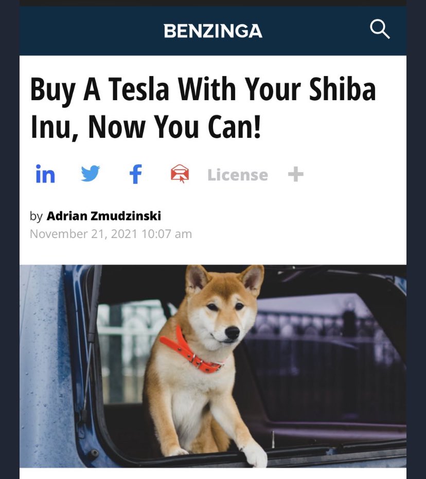 BREAKING: It’s official. You can now buy a Tesla with your $SHIB! 

🐕🐕🐕

(source: benzinga.com/amp/content/24…)
