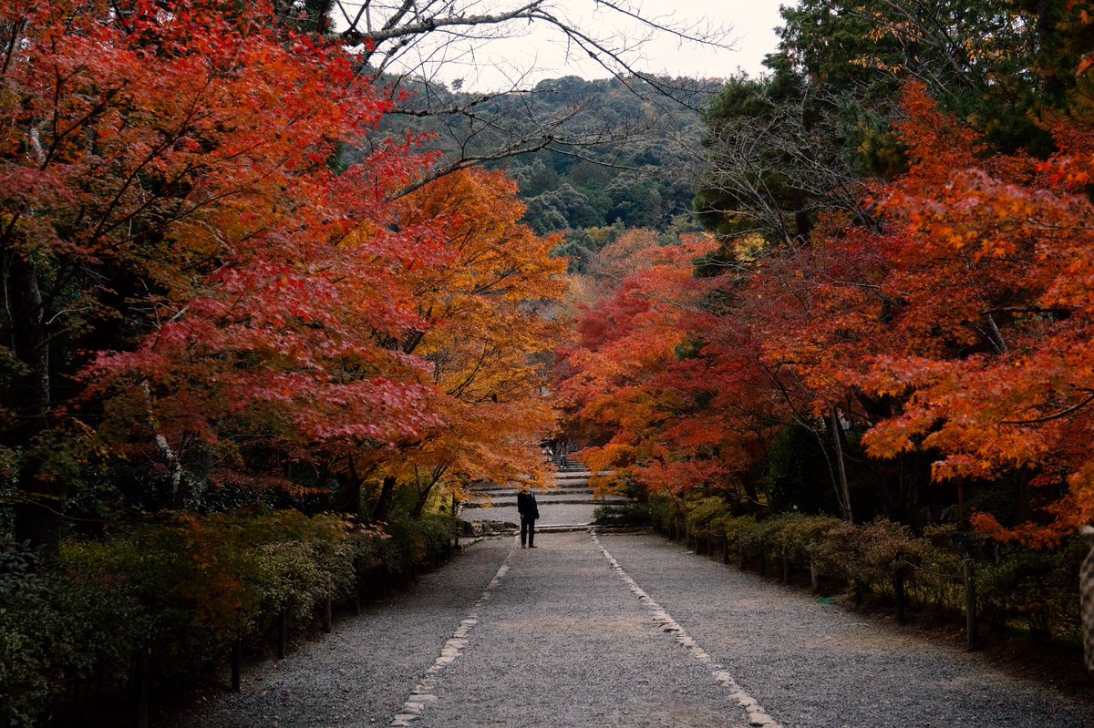 Japan_Wanohajime tweet media
