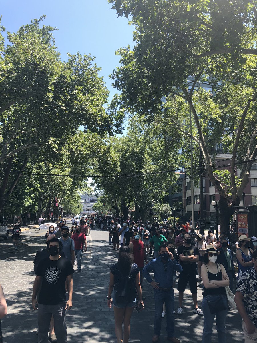 Carlos_phelp's tweet photo. @Mister_Wolf_0 Vamos vamos ✊🌳

#Elecciones2021CL https://t.co/u8i25Vk335