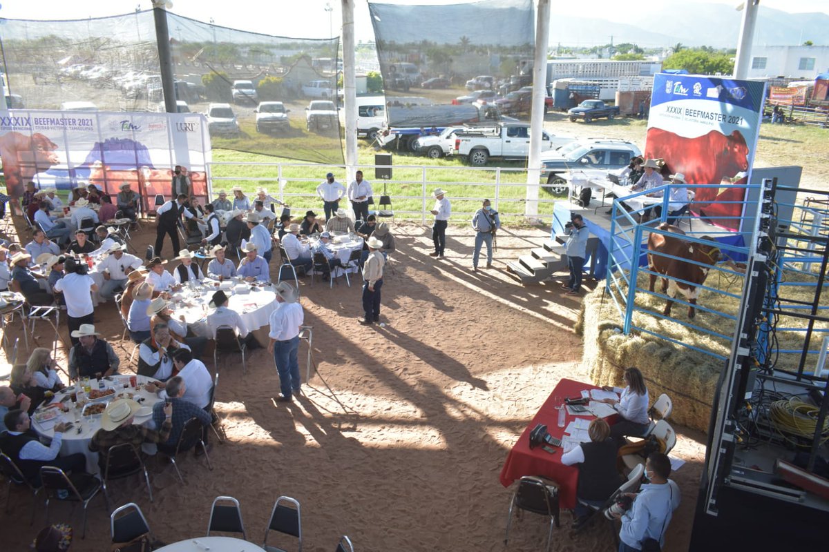RuralTam_mx's tweet photo. Un agradecimiento especial a los productores ganaderos de Tamaulipas por sumarse a la solución de las necesidades de las familias en situación de vulnerabilidad.
#RuralTam
#DIFTeQuiereBien
#TamCrece https://t.co/gNzmN1JE1E