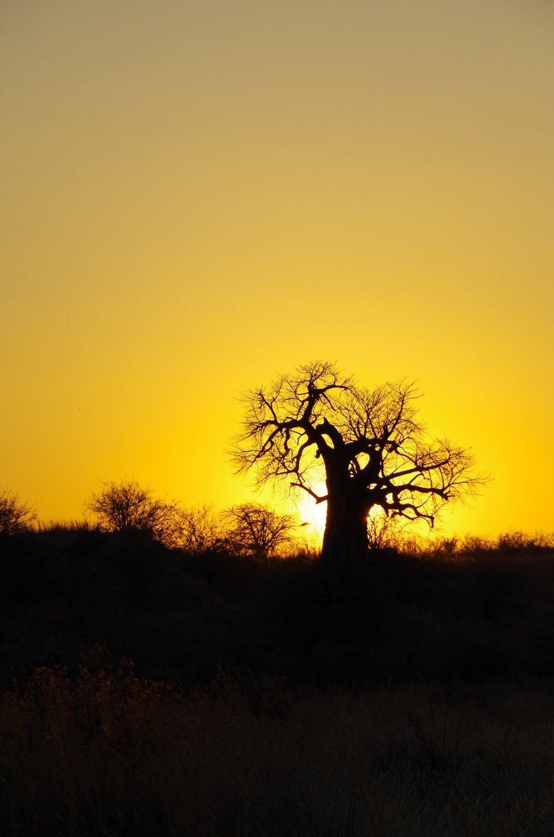 What are the implications of #COP26 for #Tanzania? Significant progress and benefits ahead—or just a lot of hot air? Join <a href="/BritTanzSoc/">Britain Tanzania Society</a> at this online event on Saturday, 27 November 2021 from 14:00 – 15:30 GMT (17:00 - 18:30 EAT). Sign up: lnkd.in/dNtGg3Tq #ClimateTanzania