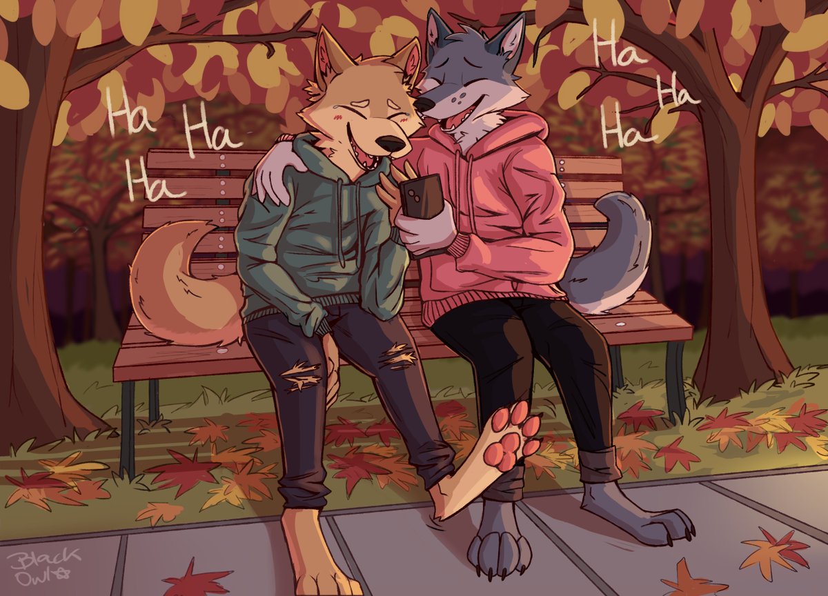 Feathers and Hoots 🦉 (@_owl_black_) on Twitter photo The funny The funny