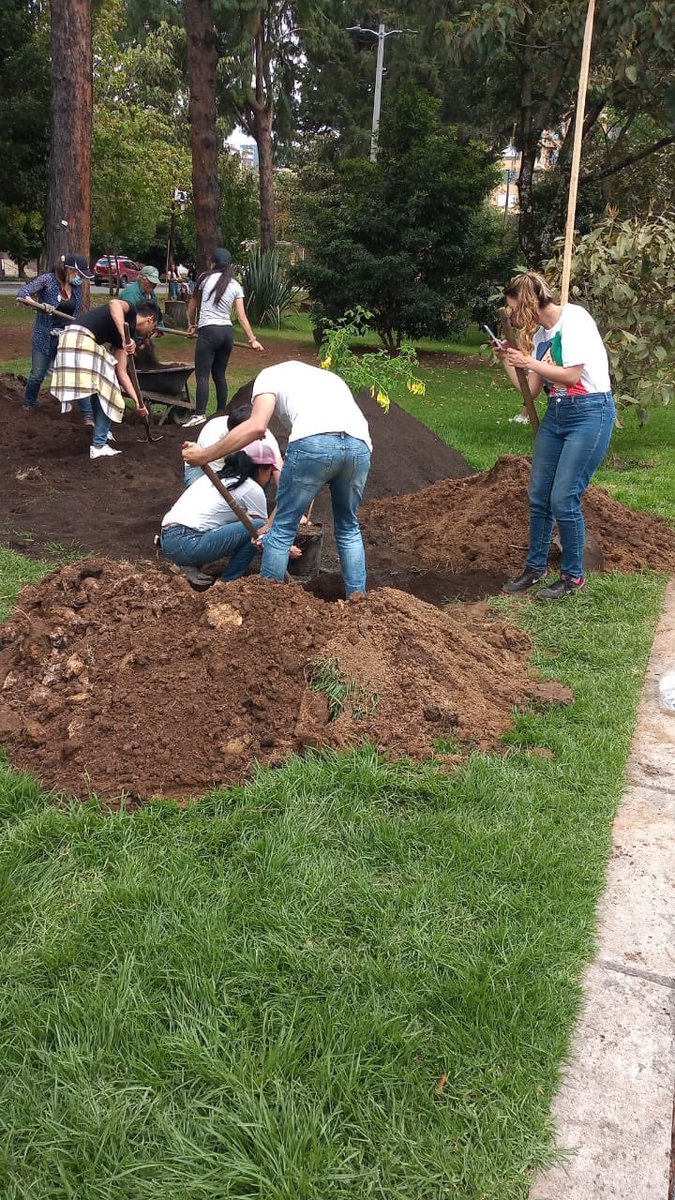 JBotanicoBogota's tweet photo. 🍃📢 En una alianza por reverdecer Bogotá con la empresa @compostpack, plantamos diferentes especies arbóreas en el Parque la Calleja localidad de Usaquén. 

Agradecemos y valoramos el apoyo de vecinos/as, voluntarios y sus compromisos por el cuidado y protección del arbolado.💚 https://t.co/0tn2jjZY40
