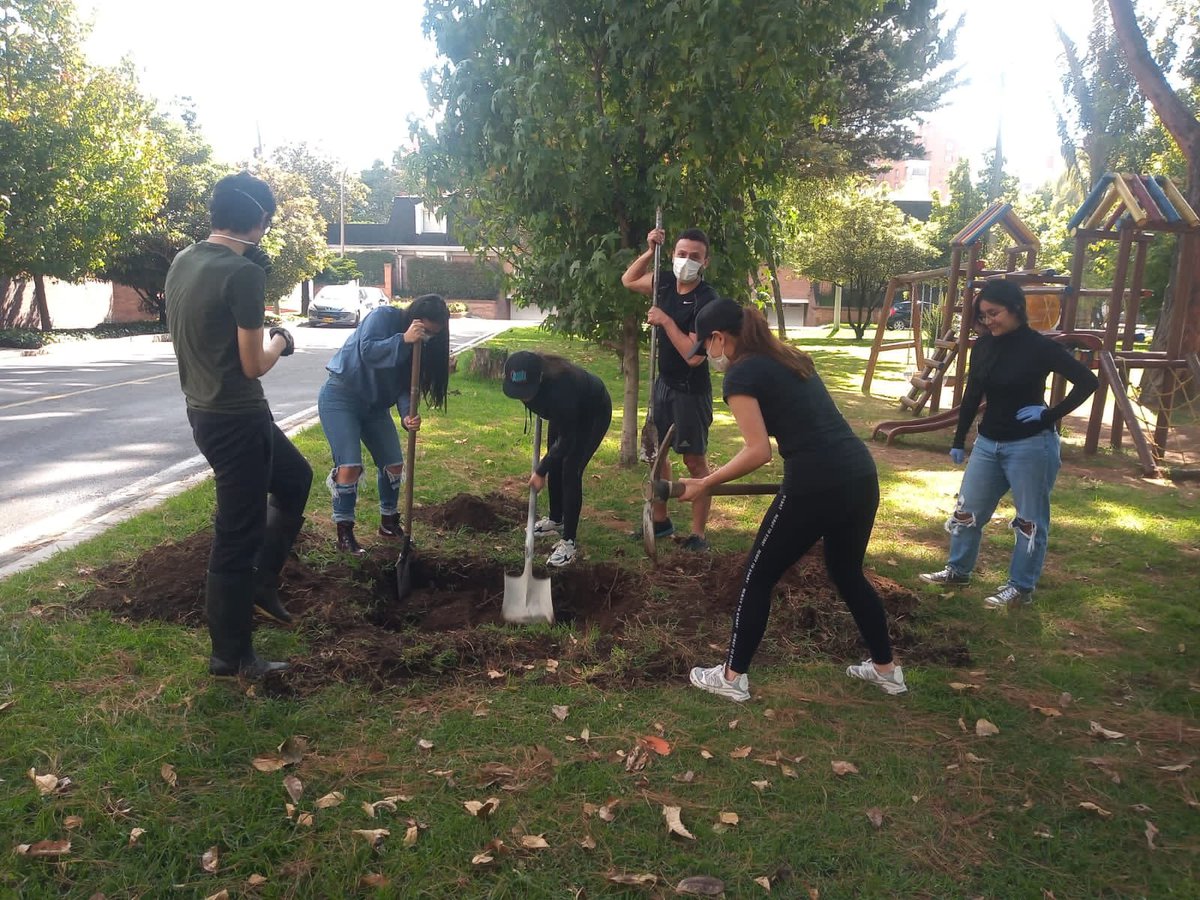 JBotanicoBogota's tweet photo. 🍃📢 En una alianza por reverdecer Bogotá con la empresa @compostpack, plantamos diferentes especies arbóreas en el Parque la Calleja localidad de Usaquén. 

Agradecemos y valoramos el apoyo de vecinos/as, voluntarios y sus compromisos por el cuidado y protección del arbolado.💚 https://t.co/0tn2jjZY40