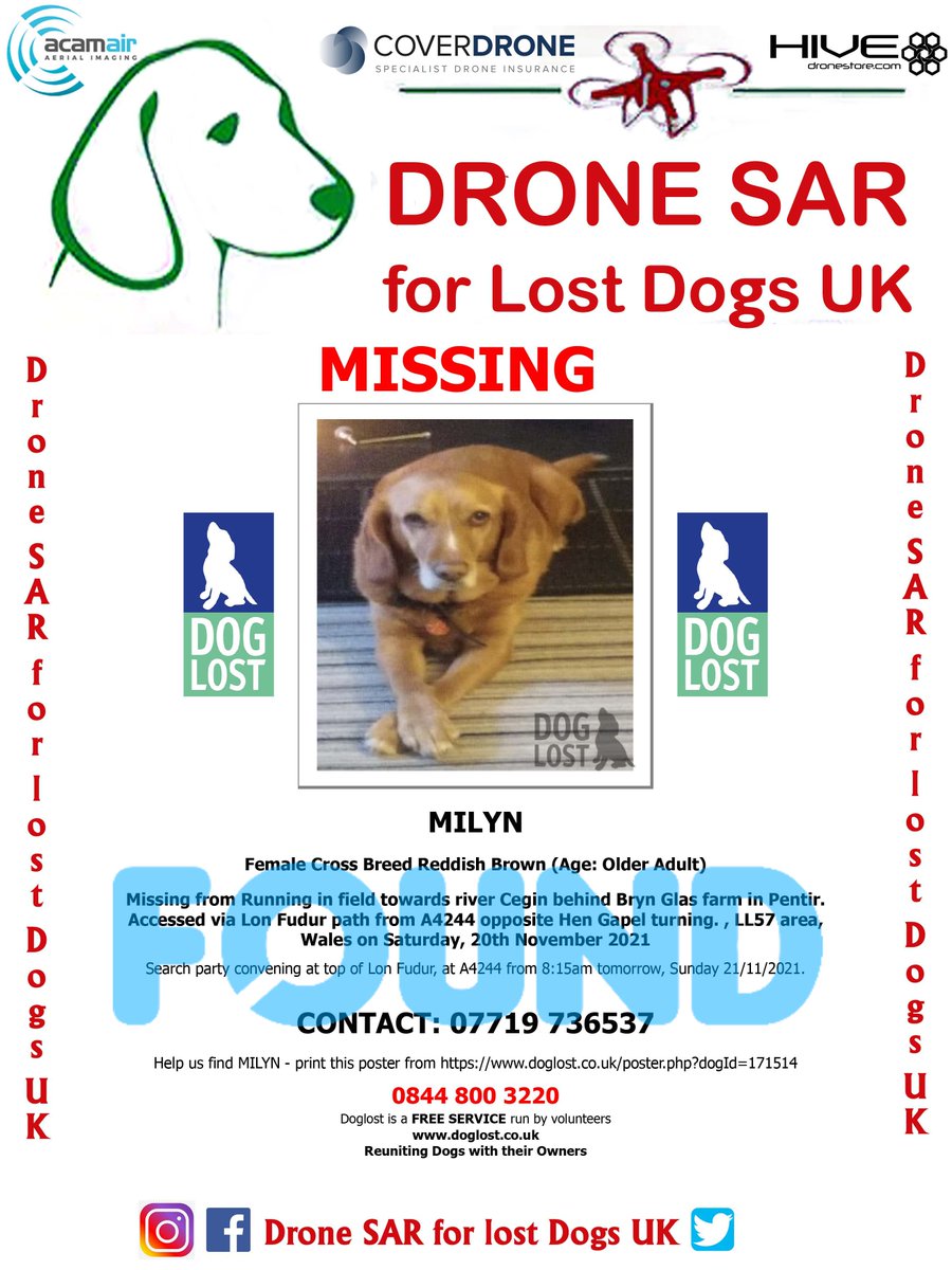 sar_dogs's tweet photo. #Reunited Milyn has been Reunited well done to everyone involved in her safe return 🐶  🏡 #HomeSafe #DroneSAR https://t.co/llBEuiEWEB