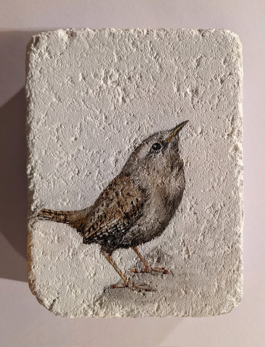 RT @HBArtscotland1: There's a Jenny Wren on my brick
#wren #painting #ArtistOnTwitter https://t.co/usFQhoUVgp
