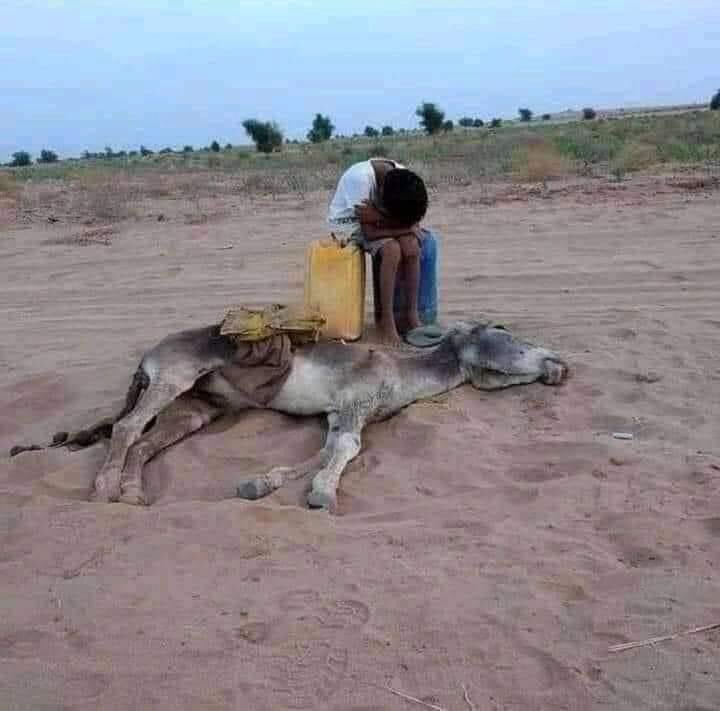 SuhaibSaharded's tweet photo. Let us stand together to help our Somali brothers in the face of drought and humanitarian crises. Let's put aside politics, elections and differences, and help those in need. https://t.co/jk5YR4ValP