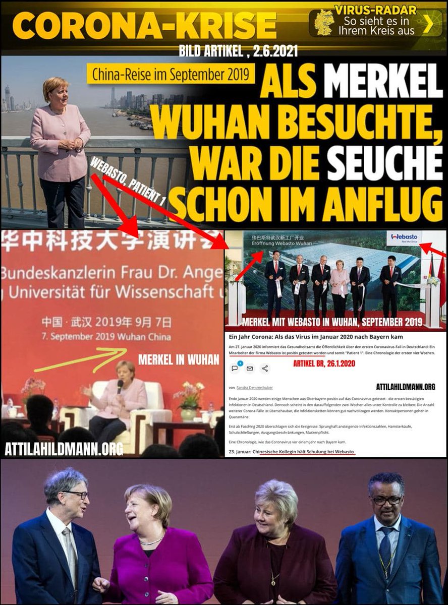 #Gib_der_Pandemie_ein_Gesicht mit Attila Hildmann's Journalismus