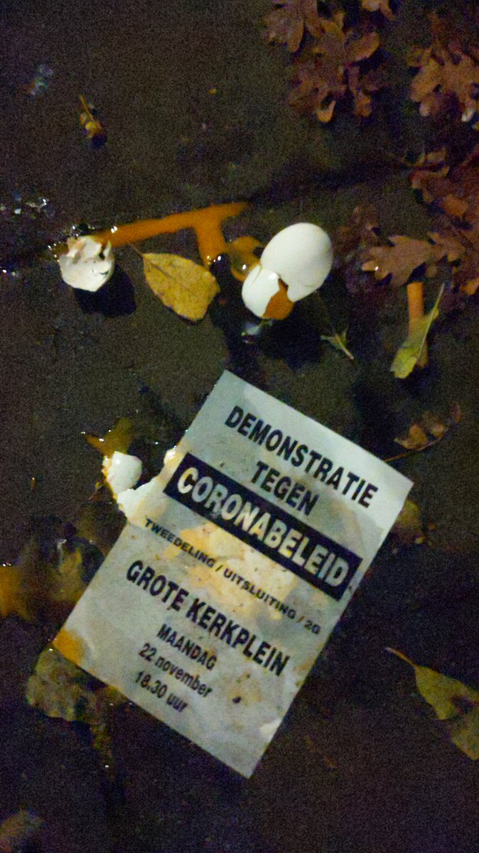Dagje te vroeg met de eieren?