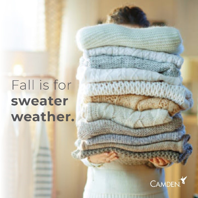 CamdenTravisSt's tweet photo. Sweaters; the PSL of Fall apparel - stay cozy! https://t.co/P7V5hohGH8