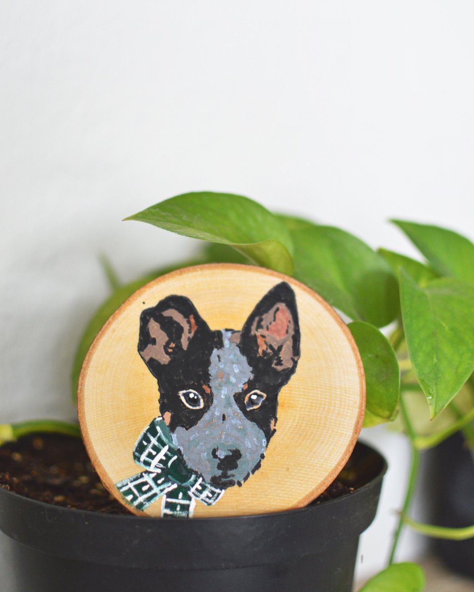 wildsbleu's tweet photo. I can share this on Twitter cause she doesn’t follow me but got 1 of 5 Christmas ornaments painted for the fam bam! 

Isn’t Wiley a handsome Christmas boy? https://t.co/hw13Et9g1i