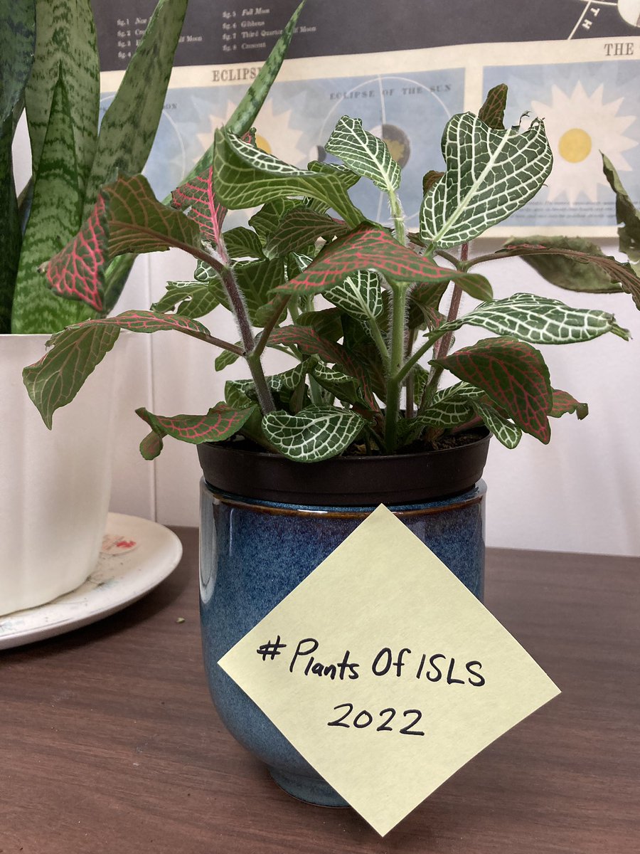MrCainScience's tweet photo. Narrator: The #PlantsOfISLS perked back up & the submissions are in. The author aspires to water & write in more timely ways, but the past suggests it will always be down to the wire.
Me: I appreciate my co-authors! Thank you for the extensions, @isls2022 ! https://t.co/edCRO89E6d