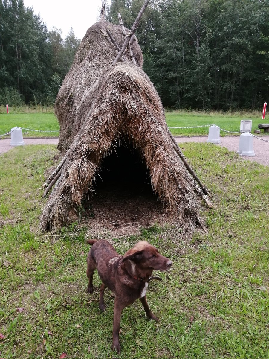 VictoriaArt09's tweet photo. House
https://t.co/80jiohtuhJ
#dogsoftwitter #dogslife #beautiful #cutedog #dogs #dogchallenge #instadog #hellodog #victoriaart9 #VictoriaArt #catsand1dog #paintingswoldartist #photosnature_victoria #Best #bestoftheday #lovestory #besthouse #doglovers #DogsofTwittter #lifestyle https://t.co/w1dK2SFC19