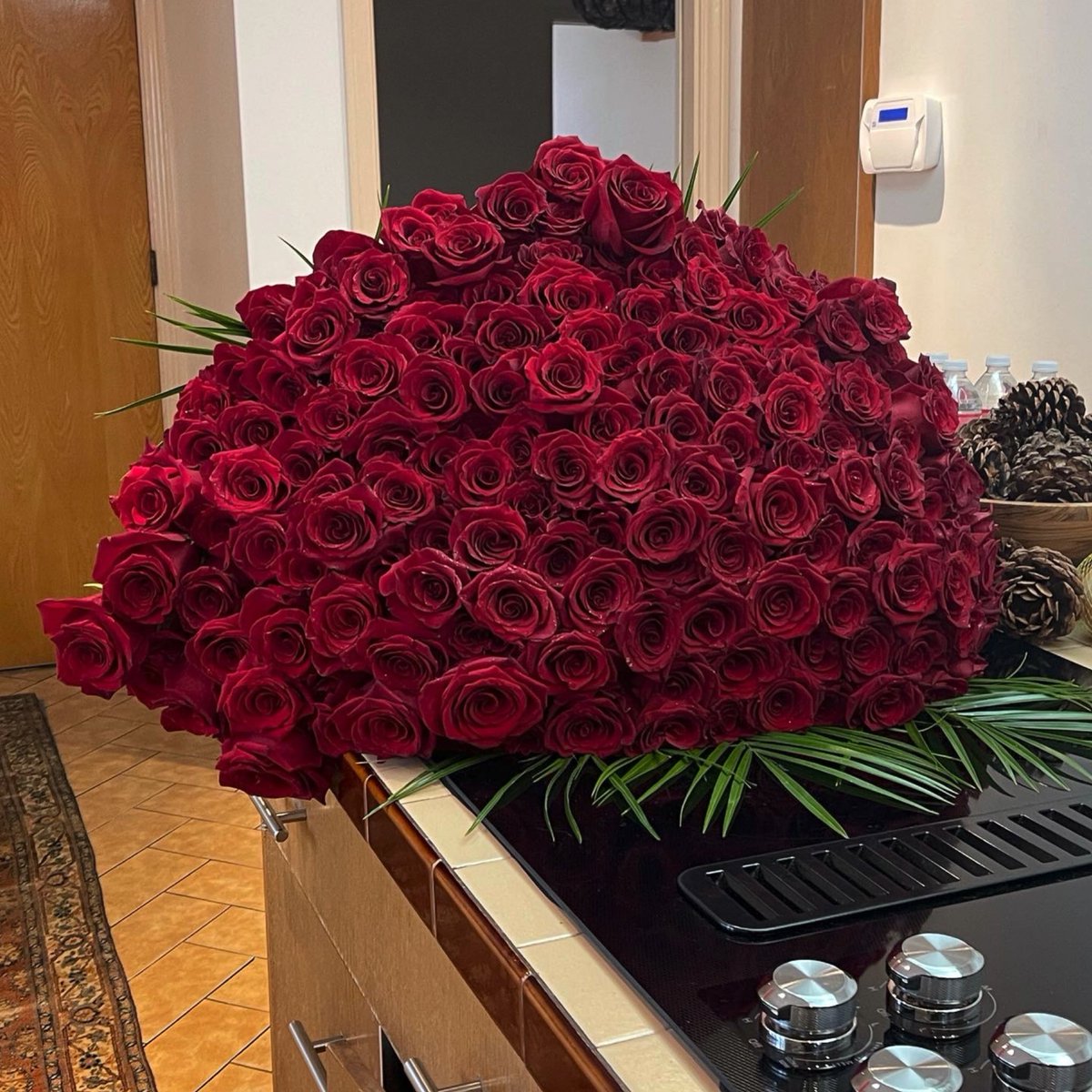 this is how I like my apologies.