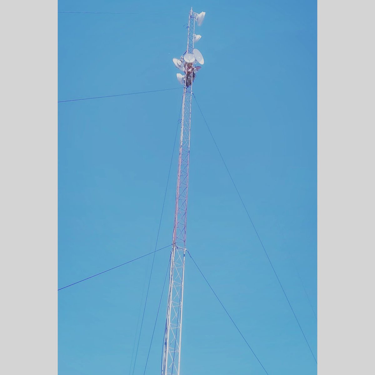 Carlos Cano (_CarlosCano_) Twitter