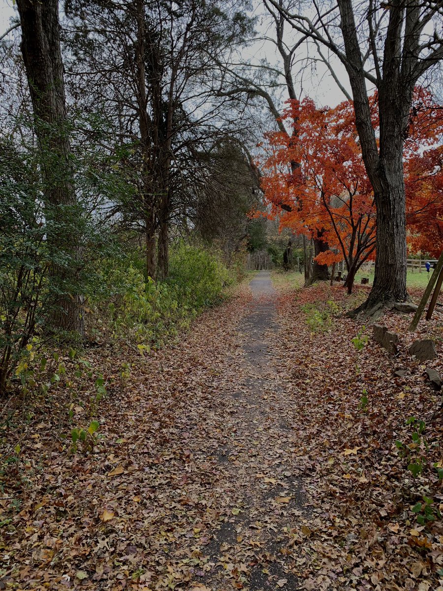 ksoles21's tweet photo. Running path did not disappoint today! https://t.co/xnEgcGtGLu