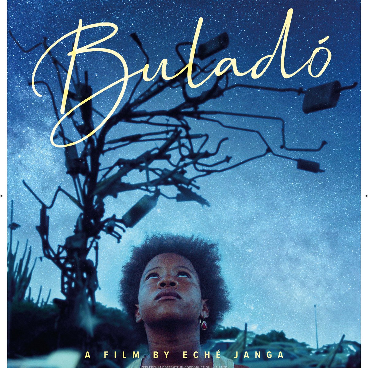NLinCanada's tweet photo. 📢 TOMORROW! "Bulado" will begin streaming as part of #EUFF21.
Filmed on the Dutch Caribbean island of Curaçao, this visually stunning film about family and finding your own path will sweep you up in a world of wonder.
🎟️: https://t.co/e3NXFcC7A8 https://t.co/lnYoJA3ejO