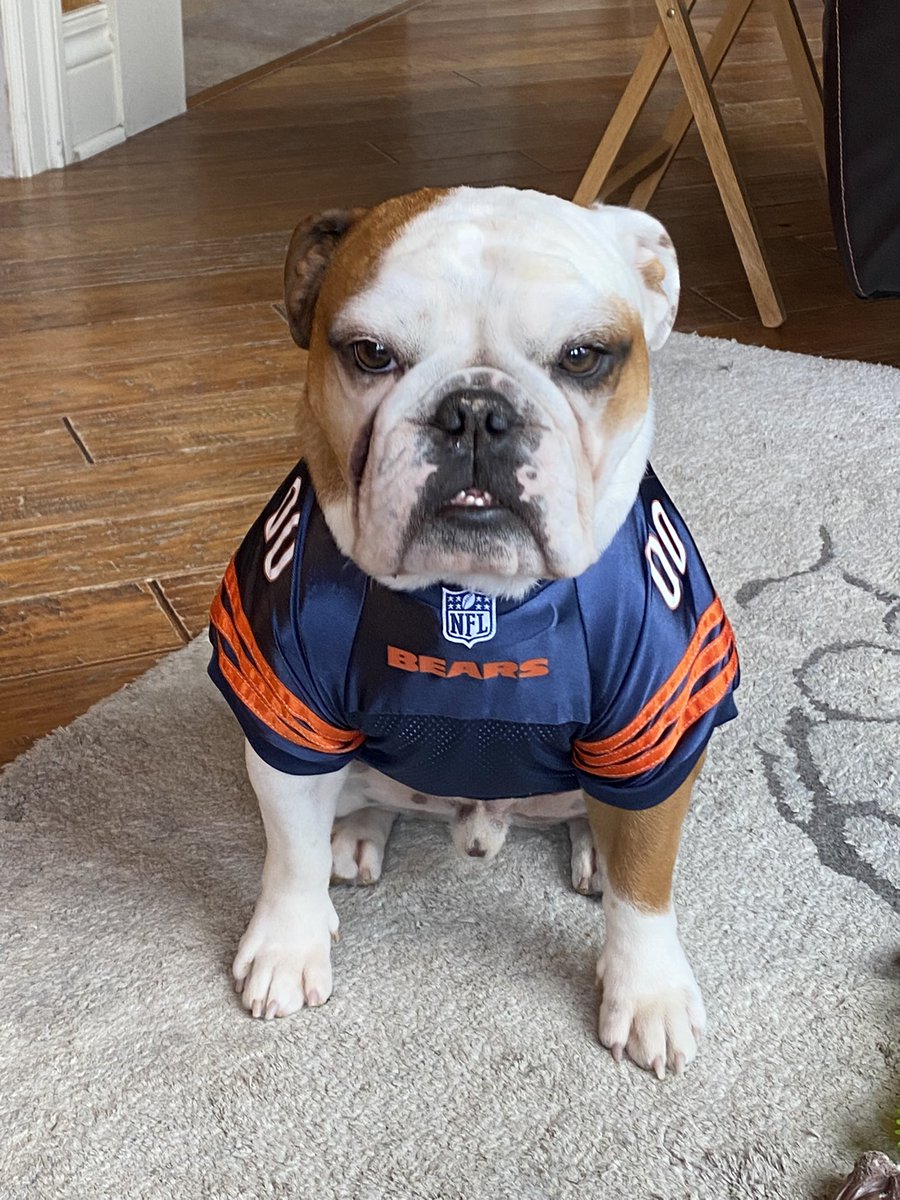 pambolger's tweet photo. Game Day ready #DaBears  @espn @ChicagoBears @NFL @Buccigross @FOXSports @CBSSports https://t.co/TM8QKv2709