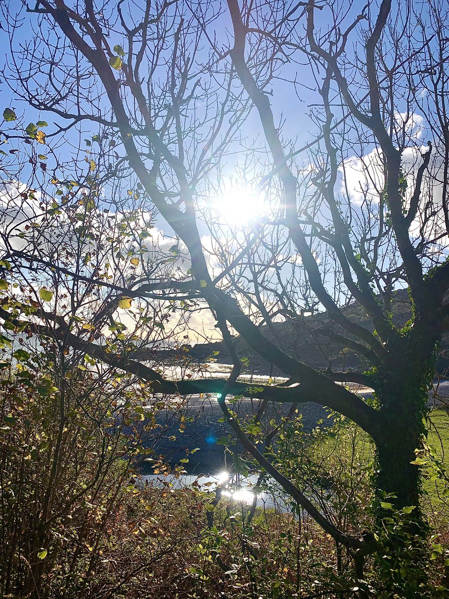 ItsYourWales's tweet photo. Kevin with the magnificent Pwlldu on a most beautiful Mid November afternoon. 
Courtesy @KevDocChild #WelshPassion #PeoplewithPassion always at #ItsyourWales https://t.co/7XwAr7jt5g