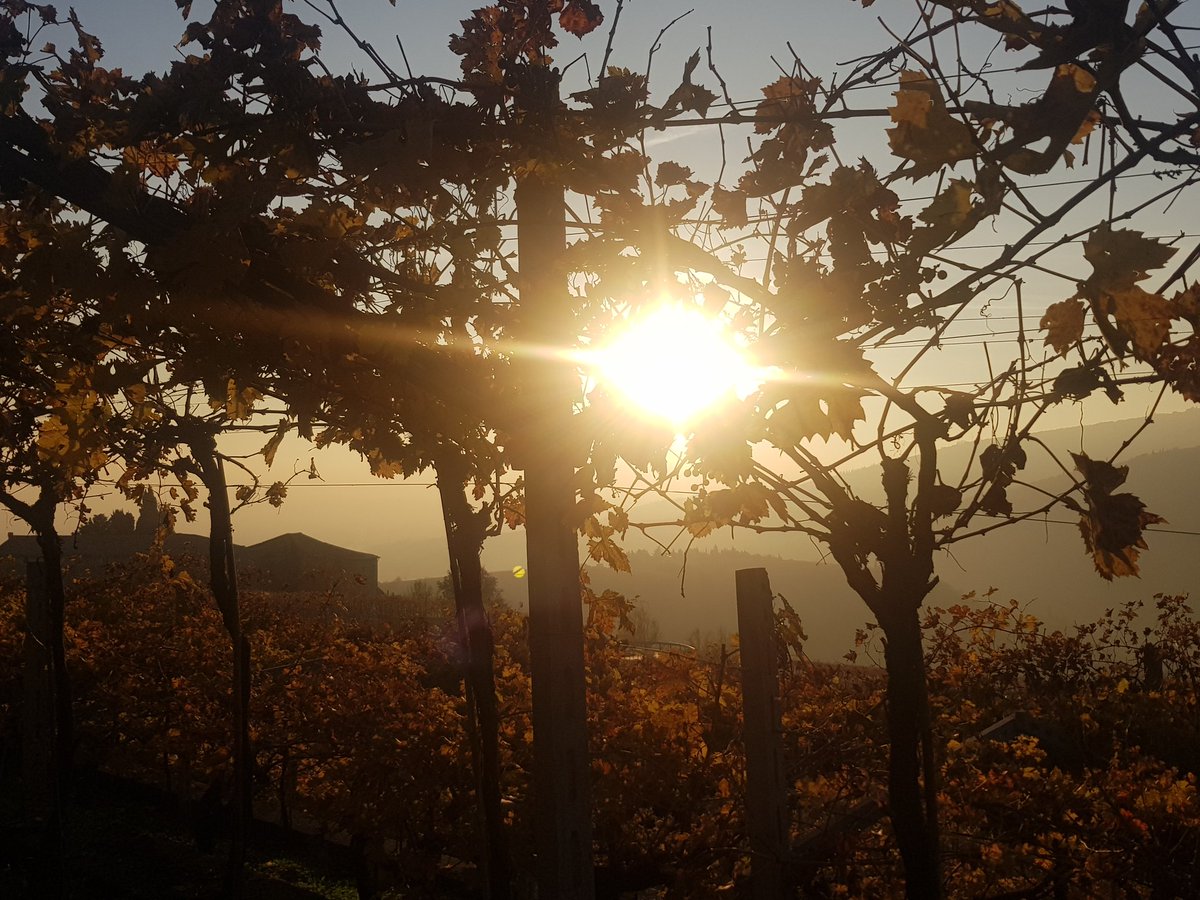 D97790333's tweet photo. That's Life ♥️ 🍷🍁🎠

#Valpollicella 🍇 
#winetasting
#trekking
#AutumnFalls
#foliage
#Verona
#friends
#theater
#acting
#AntroPolaroid
#weekend
#goodtime
#PositiveVibes
#lifestyle https://t.co/goQPOK1nwz