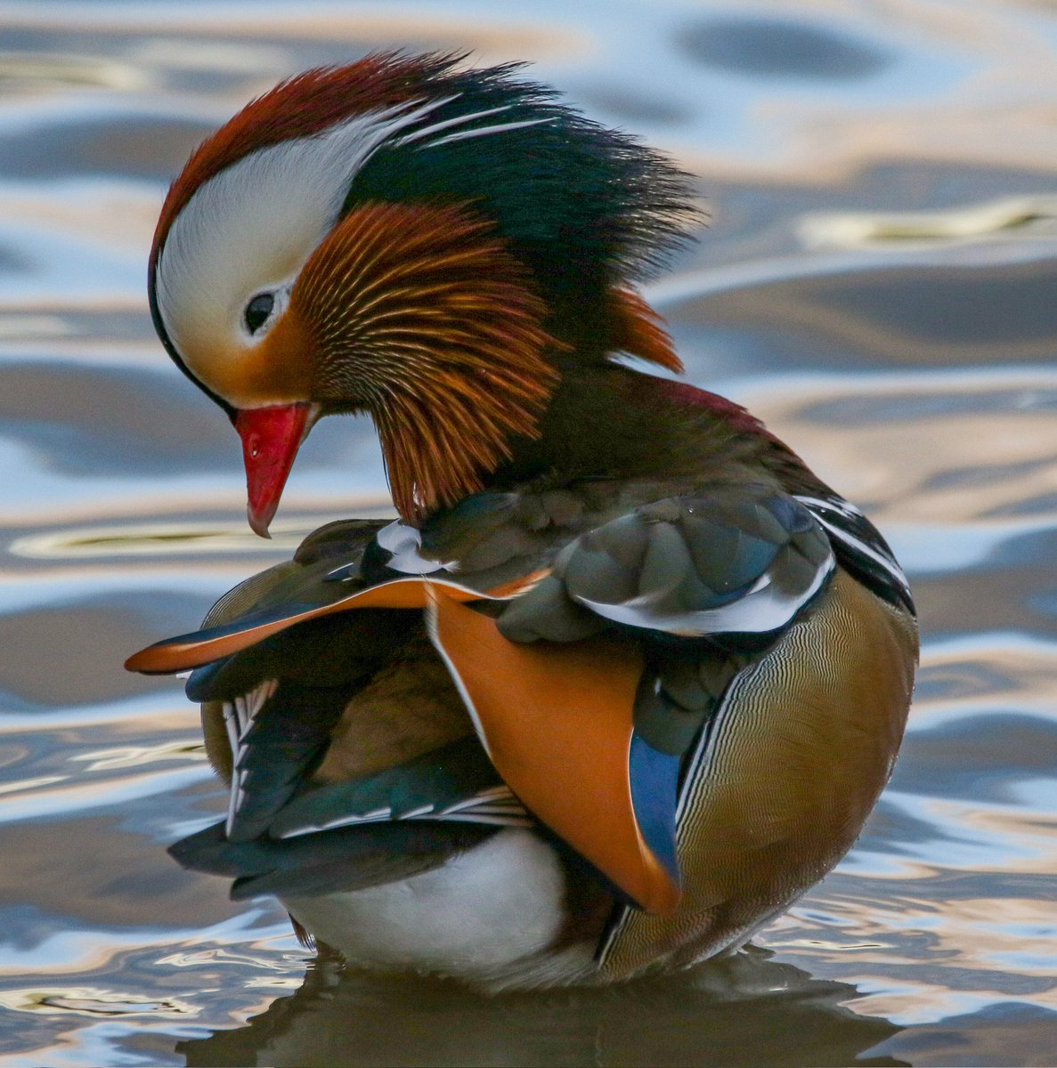 Been an alright kind of day, but not looking forward to that 5.30 am start tomorrow. 🧊