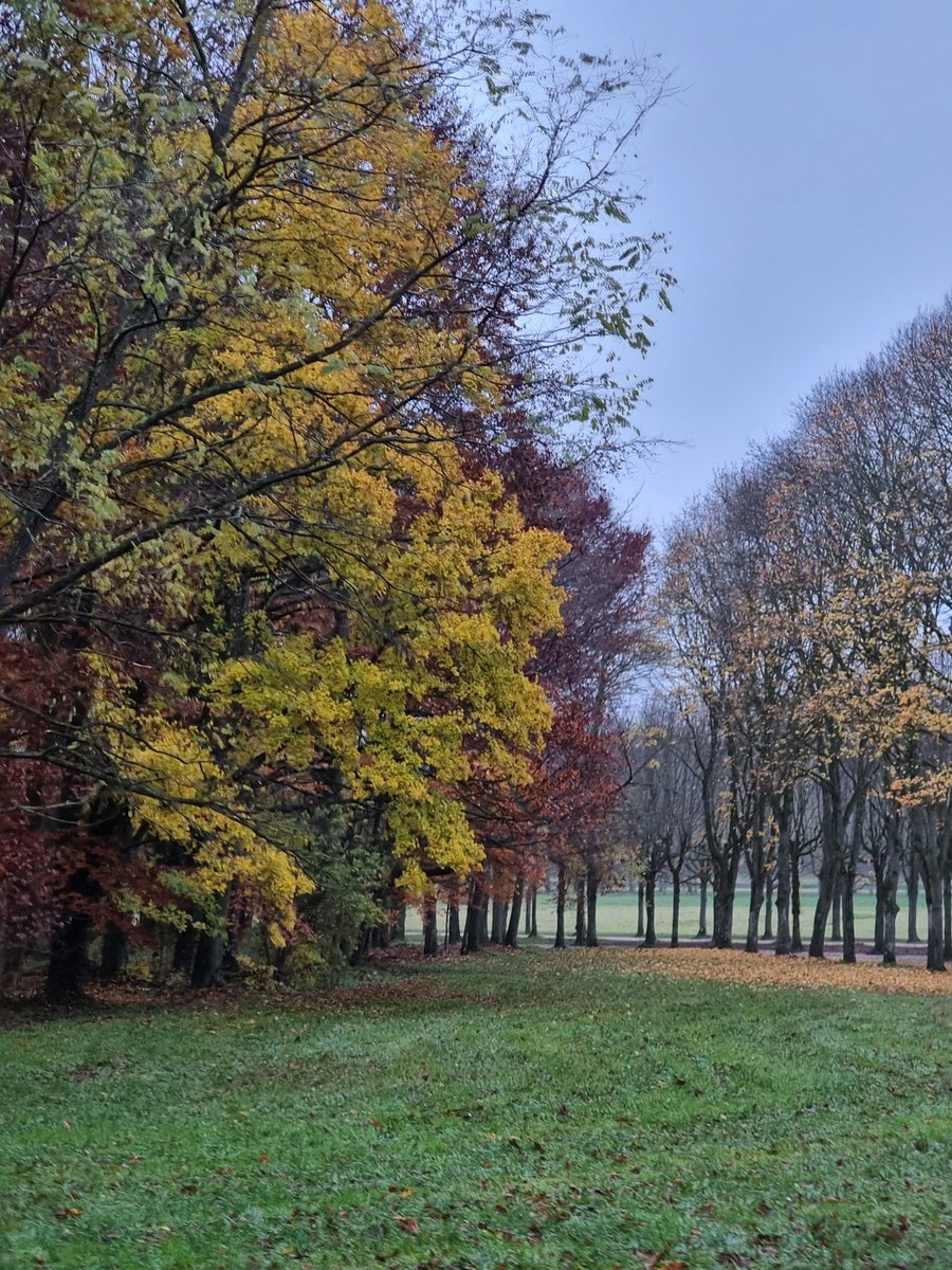 Bh_remi's tweet photo. Atmosphère automnale dans la maison des siècles.
@CFontainebleau https://t.co/MTvHIFeioC