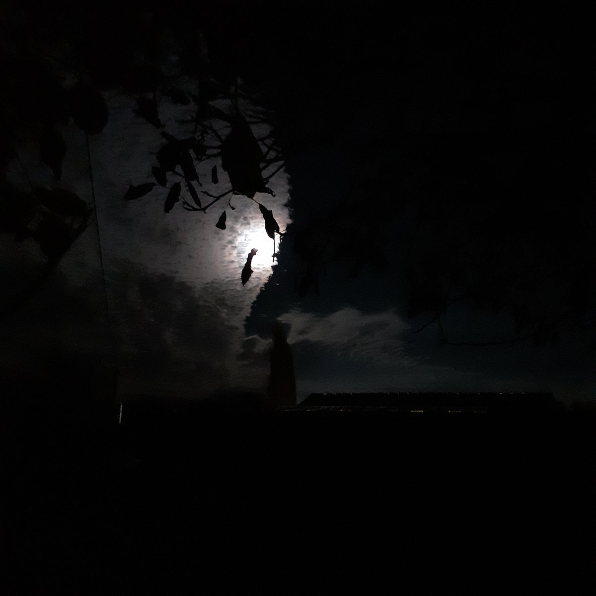 This photo does not do justice to the beauty of the moon over the farm the other night. As the clouds rolled in it was difficult not to stop and gaze up! #fullmoon #bigskies #norfolkbigsky #norfolkbigskies #gettingcolder #gettingcoldoutside #clearsky #moon